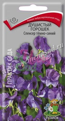 Цветы Душистый горошек Спенсер темно-синий (1 г) Поиск