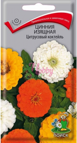 Цветы Цинния Цитрусовый коктейль изящная (0,2 г) Поиск