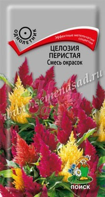 Цветы Целозия Смесь окрасок перистая (0,1 г) Поиск