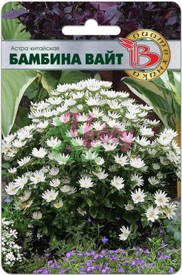 Цветы Астра китайская Бамбина Вайт (20 шт) Биотехника
