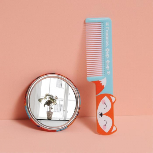 Подарочный набор «Лис», 2 предмета: зеркало, расчёска, разноцветный