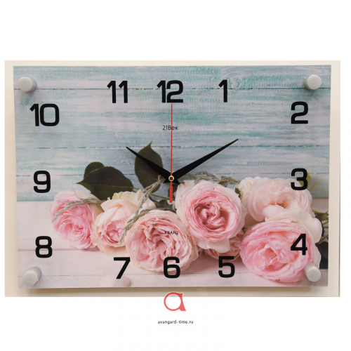 Настенные часы 21 Век 2535-019 (25x35)