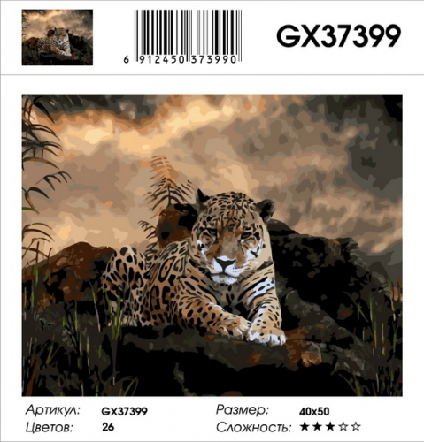 Картины 40х50 GX Paintboy