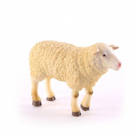 -40% Овца , M (8 см)