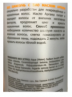 HAIR COMPANY Шампунь с био маслом арганы / HAIR LIGHT BIO ARGAN Shampoo 250 мл