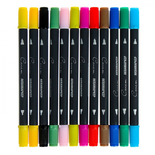 Набор художественных маркеров «Сонет», 12 цветов, водная основа, двусторонний: пулевидная/кисть, основные цвета