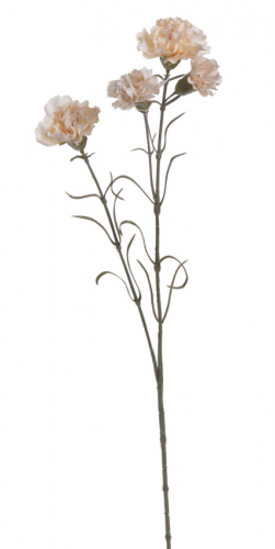 Гвоздика ветка, 70 см