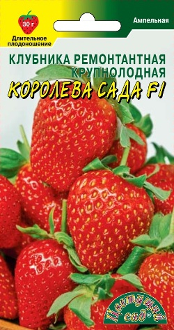 Клубника Королева Сада 5шт