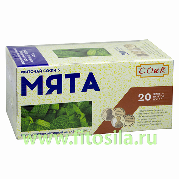 Мята