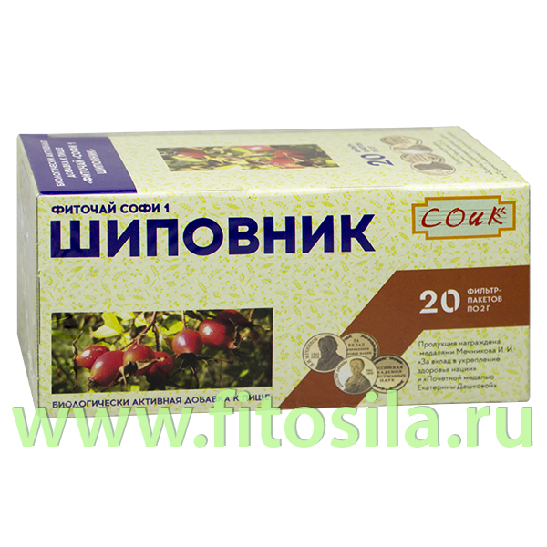 Шиповник