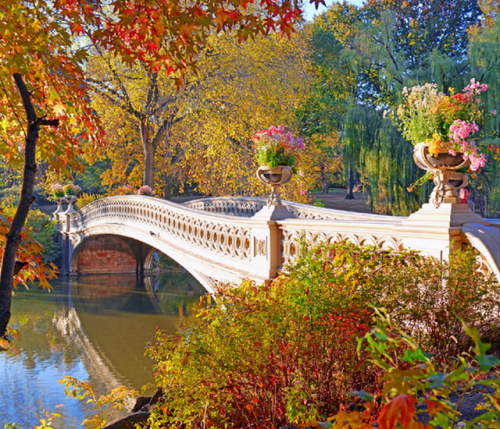Картины по номерам 40х50 Осенний парк с мостиком