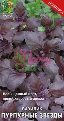 Базилик Пурпурные звезды овощной ( 0,1 гр) Поиск