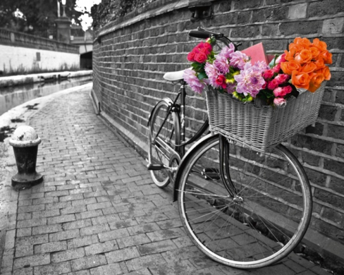 Картина по номерам 40х50 Велосипед с цветами