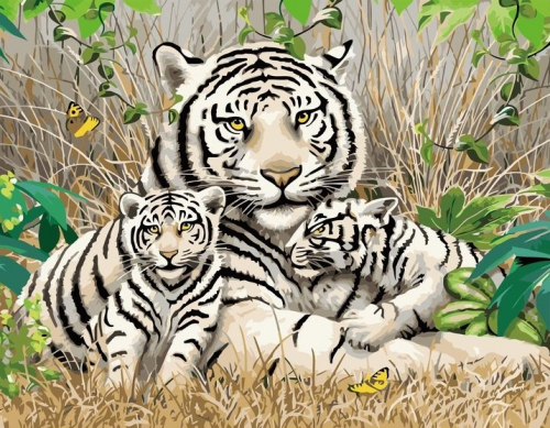 Картины по номерам 40х50 Семья белых тигров
