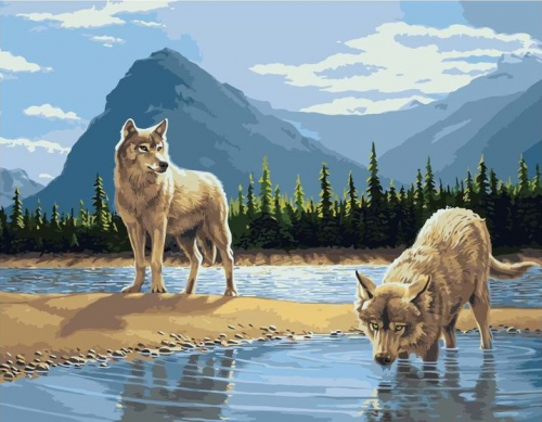 Картины по номерам 40х50 Волки у реки
