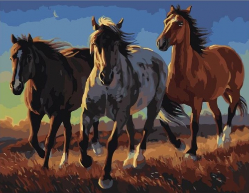 Картины по номерам 40х50 Три коня