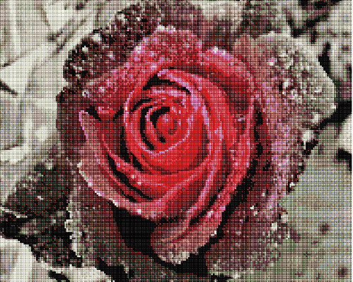 Алмазная мозаика 40х50 Роза