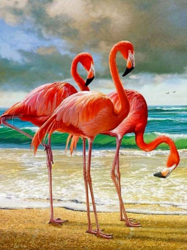 Картины по номерам 40х50 Три фламинго