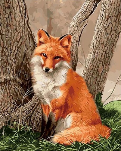 Рыжая лисичка