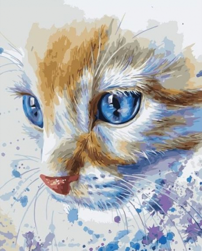 Картина по номерам 40х50 - Голубые кошачьи глаза
