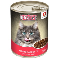 Влажный корм для кошек Big Cat «Мясное ассорти», кусочки в желе, 350г