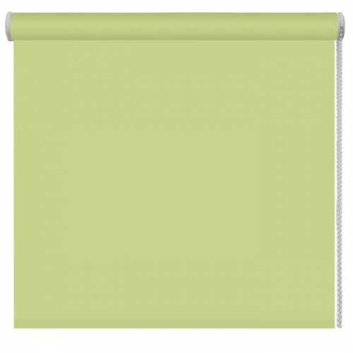 Рулонная штора однотонная зеленый (add-200026-gr)