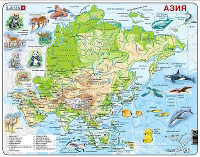 A30 - Животные Азии  (Русский)