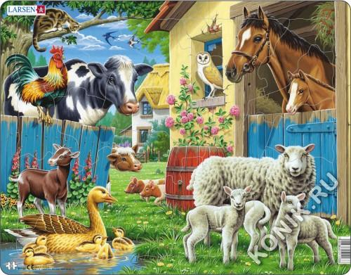 FH23 - Животные фермы