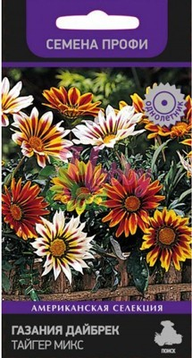 Цветы Газания Дайбрек Тайгер микс (10 шт) Поиск