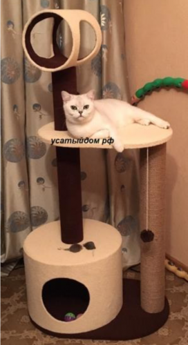 Комплекс домик для кошки Прыг ског