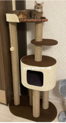Комплекс домик для кошки Хубинг увеличенный