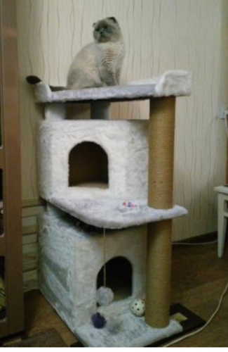 Комплекс домик для кошки Гнездо  в мехе