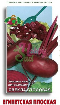 Свекла Египетская плоская (3 гр) Поиск