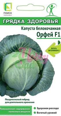 Капуста Орфей F1 белокочанная (0,2 гр) Поиск Грядка здоровья