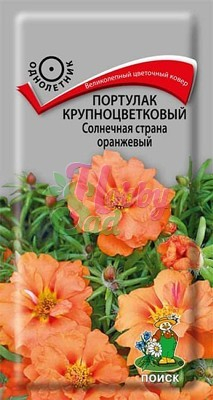 Цветы Портулак Солнечная страна оранжевый крупноцветковый (0,1 г) Поиск