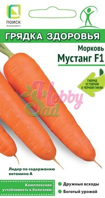 Морковь Мустанг F1 (1 гр) Поиск Грядка здоровья