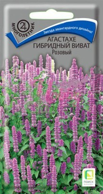 Цветы Агастахе Виват розовый гибридный (10 шт) Поиск
