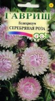 Гелихризум Серебряная роза