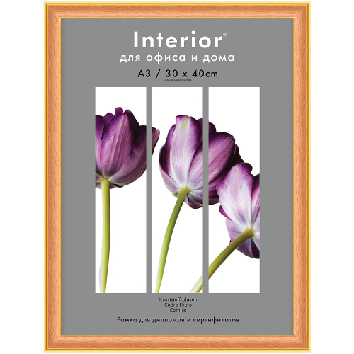 Рамка для сертификата Interior Office 30x40 288 клен, со стеклом