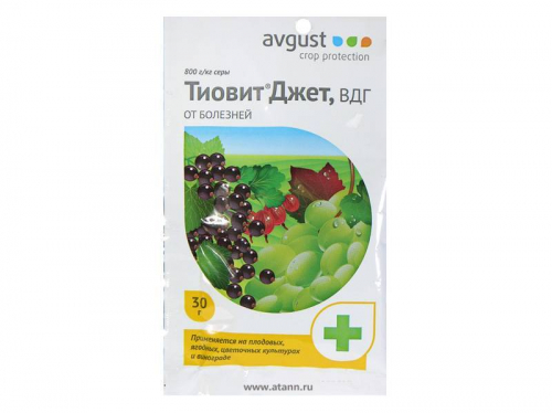 Купить Тиовит Джет пак 30г фунгицид от мучнистой росы Август