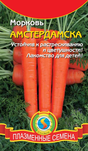 Морковь Амстердамская (раннеспелый сорт, стабильная урожайность, хороший вкус, устойчивость к расстрескиванию и цветушности. Лакомство для детей!)
