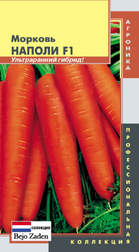 Морковь Наполи F1  (Селекция Bejo Zaden BV Нидерланды. Ранннеспелый)