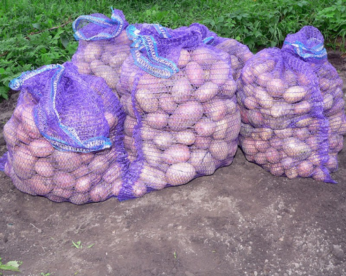 Упаковочная Сетка-мешок  с завязками для Урожая, размер 50*80 см, до 40 кг, Протэкт