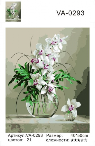 Картины по номерам Белые орхидеи