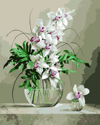 Картина по номерам 40х50 Белые орхидеи