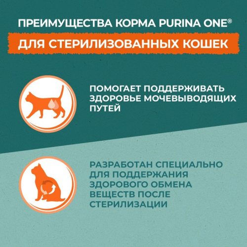 Сухой корм Purina One 