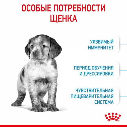 Сухой корм RC Medium Puppy для щенков, 3 кг