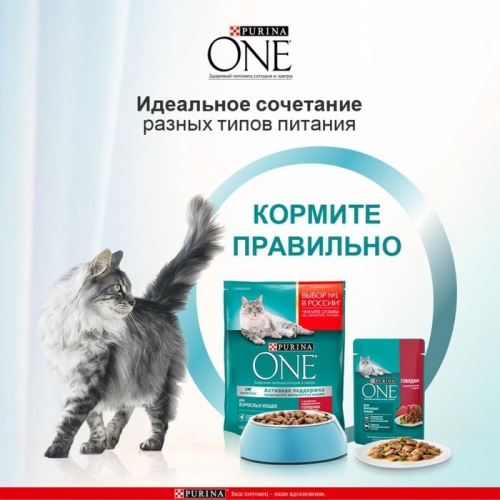 Влажный корм Purinа One для кошек, говядина/морковь, 75 г