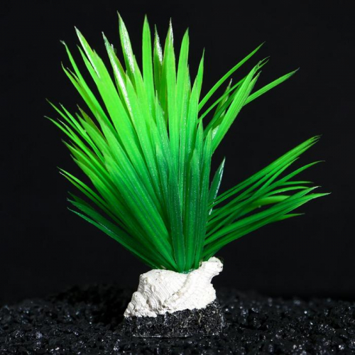 Растение искусственное аквариумное на подставке с ракушкой, 7 х 4,5 х 13,5 см, зелёное