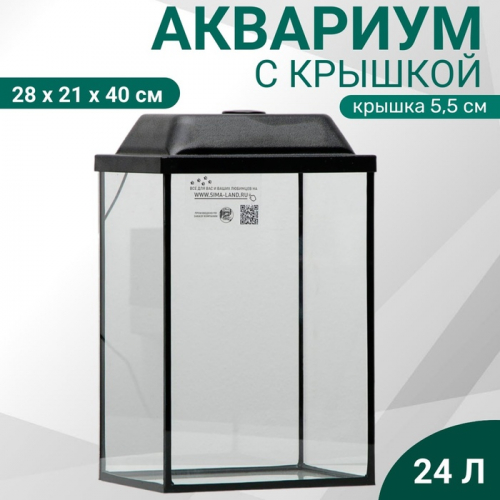 Аквариум 